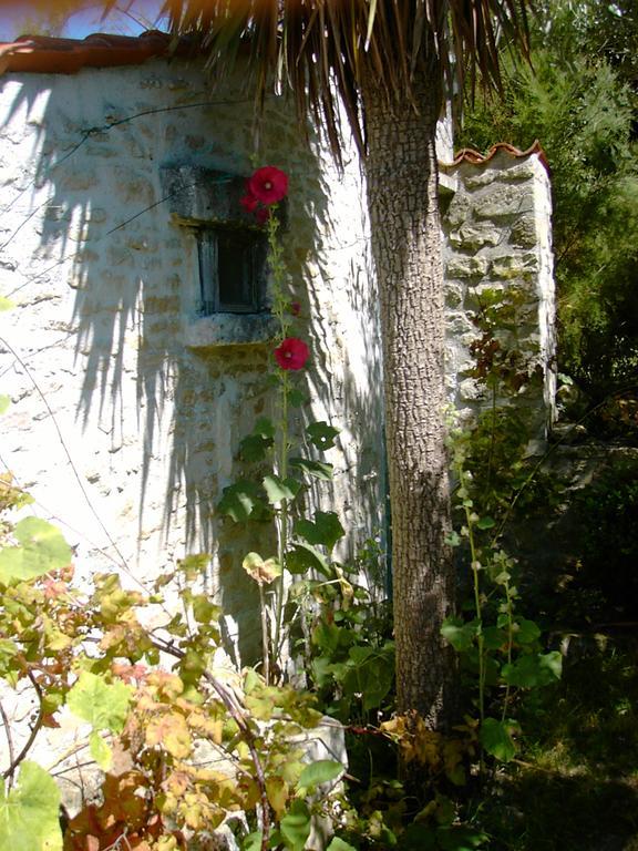 Hôtel Les Jardins Saint Leonard à Thairé Extérieur photo